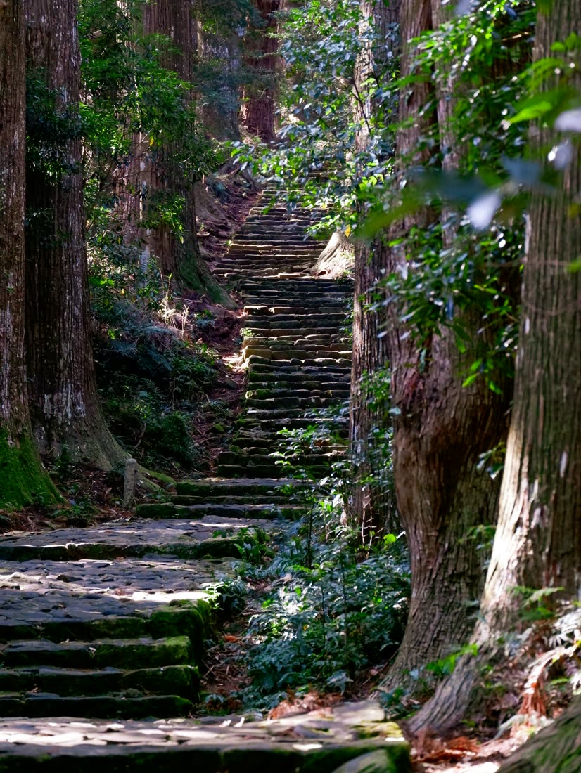 Moss-cloaked pilgrim steps on the Kumano Kodo